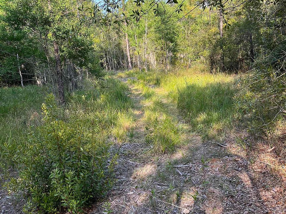 2nd image of 1655 County Road 716