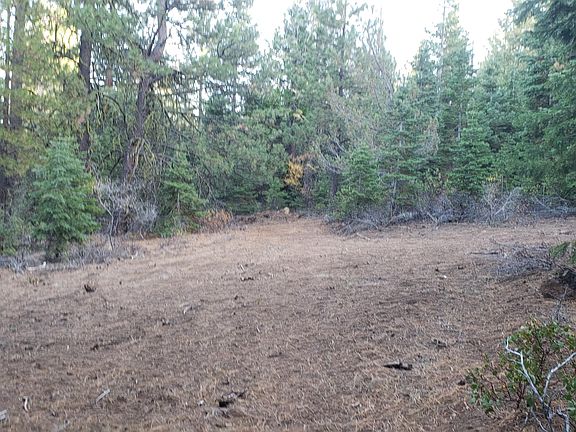5th image of 76 & 20 Vireo & Blackbird Dr