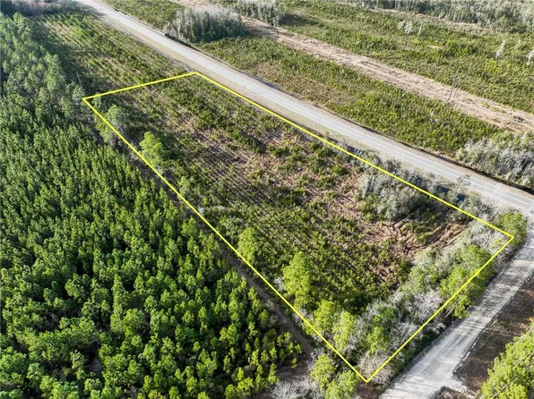 0 Tract Hwy #1-32, Hortense, GA 31543
