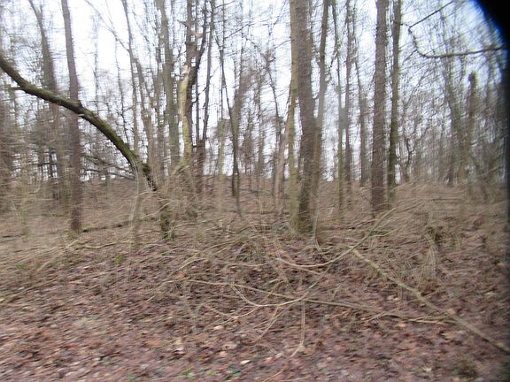 5th image of 17673 Long Lake Dr