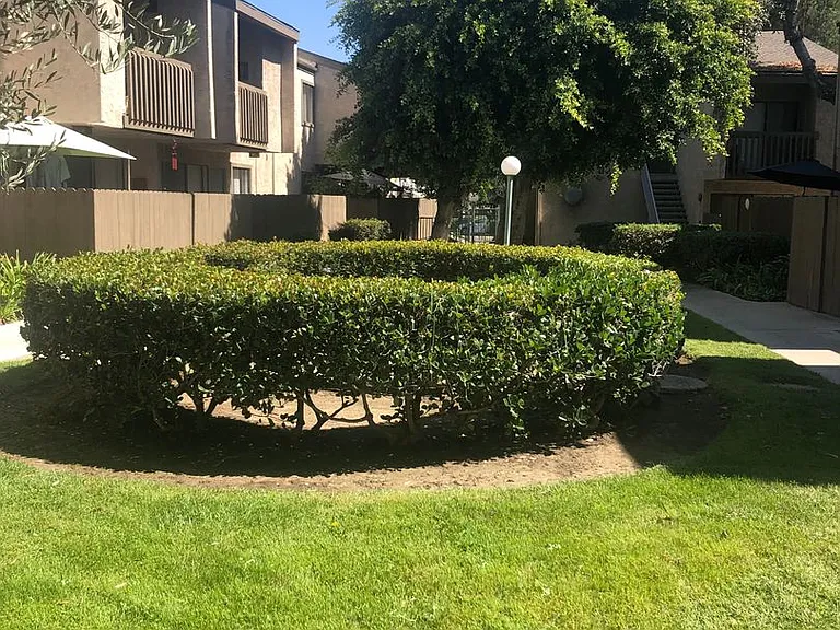 Spring Tree Apartments — Photo 27