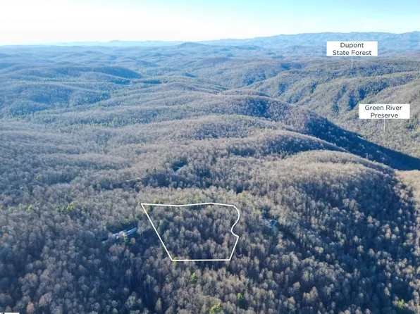 10 Rhetts Ridge Rd, Zirconia, NC 28790