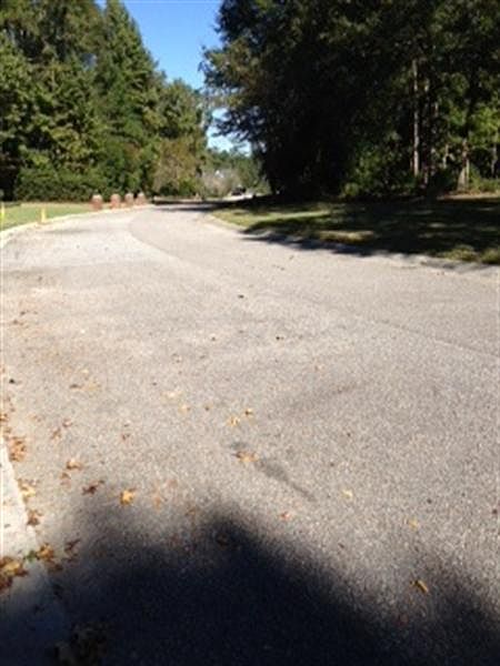 2nd image of 240 Scalybark Rd