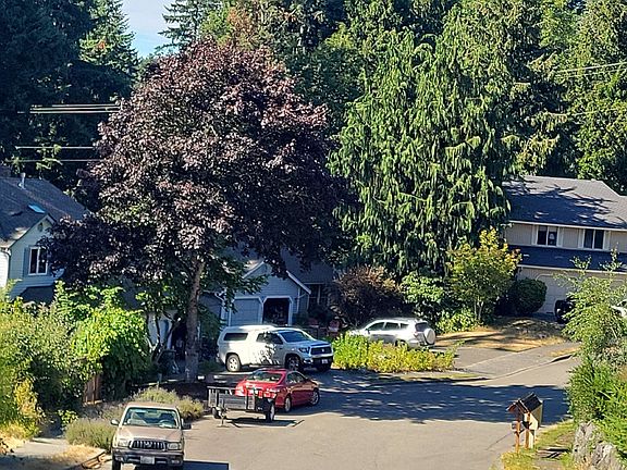 4th image of 1319 102nd Ave NE