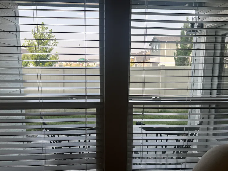 Patio and side yard