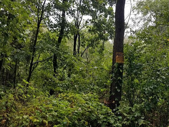 2nd image of LOT 94 Fireline Rd