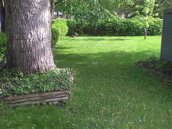 4th image of 849 Coolidge Ave