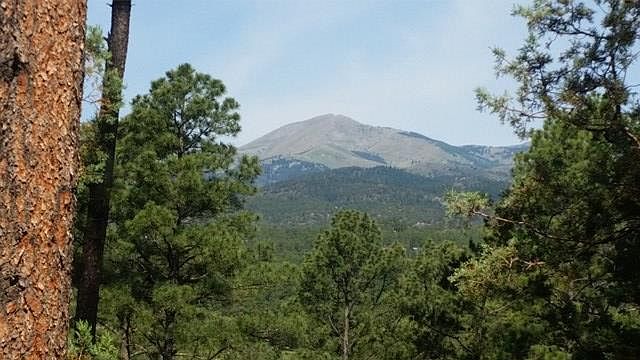 1st image of 111 Poco Loco Dr