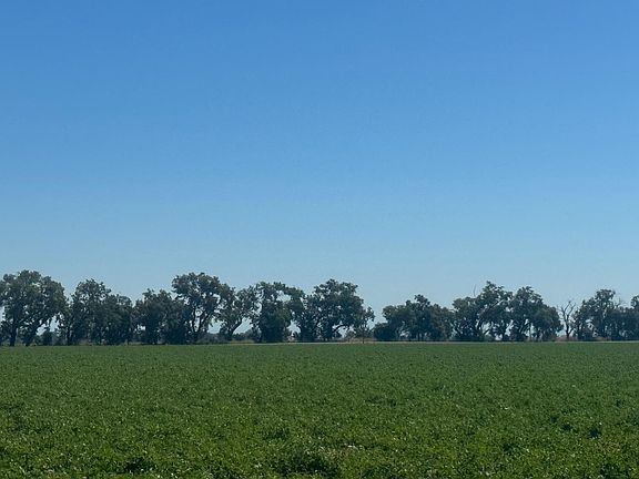 4th image of 10115 County Road 97