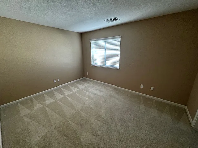3800 Stafford Springs Way — Photo 37