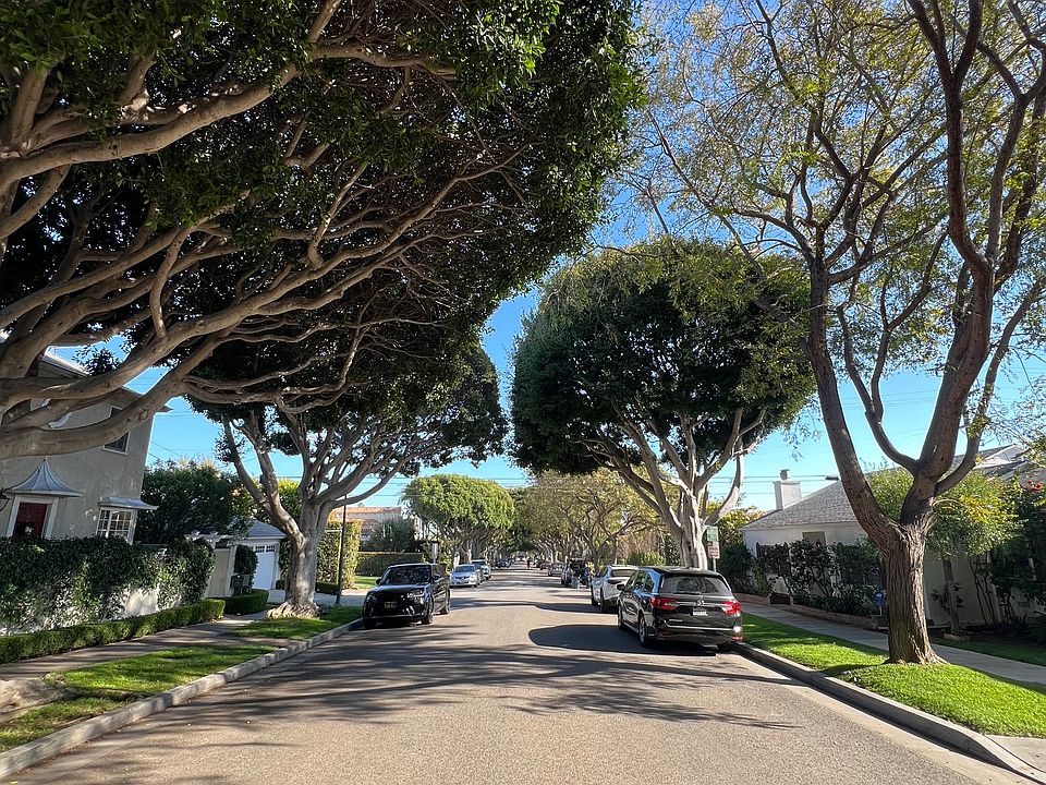 Tree Lined Street