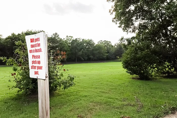 7152 Olive Ridge Dr — Photo 18