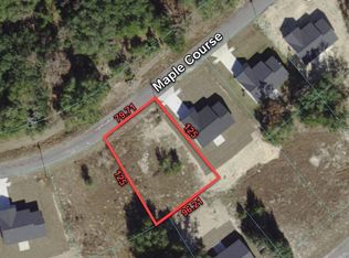 10 SE Maple Crse #24, Ocklawaha, FL 32179