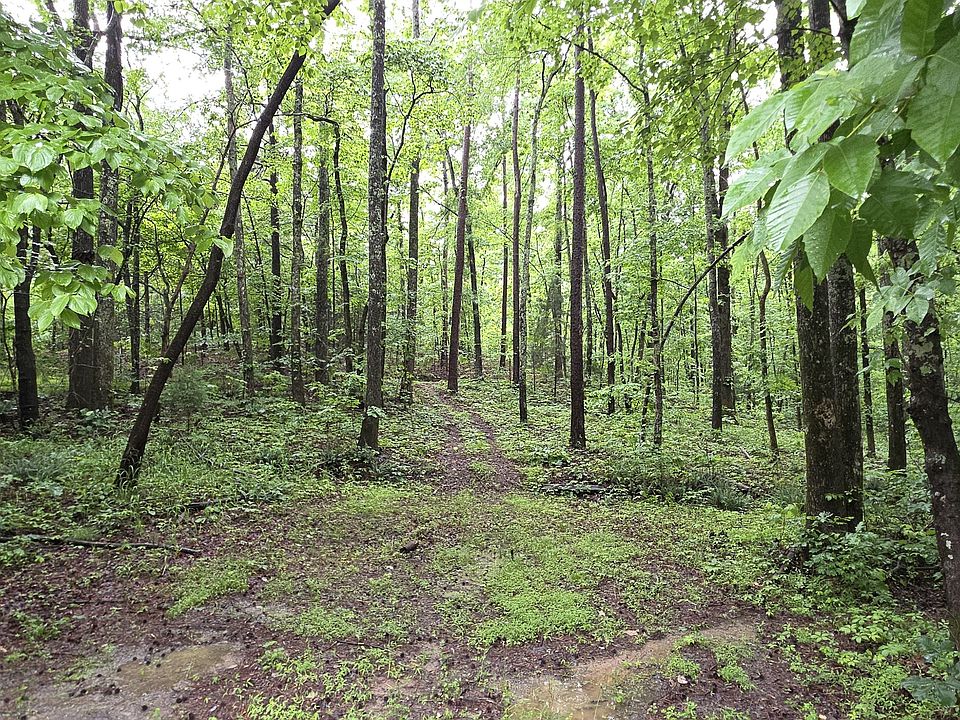 1st image of 0 Brewster Field Rd
