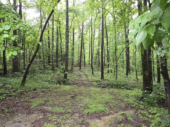 0 Brewster Field Rd, Cedartown, GA 30125