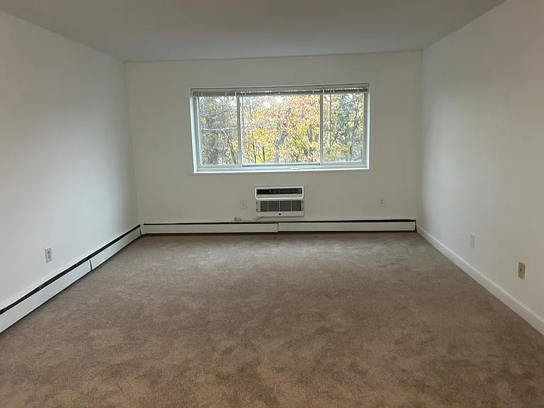 311A Washington Ave — Photo 5