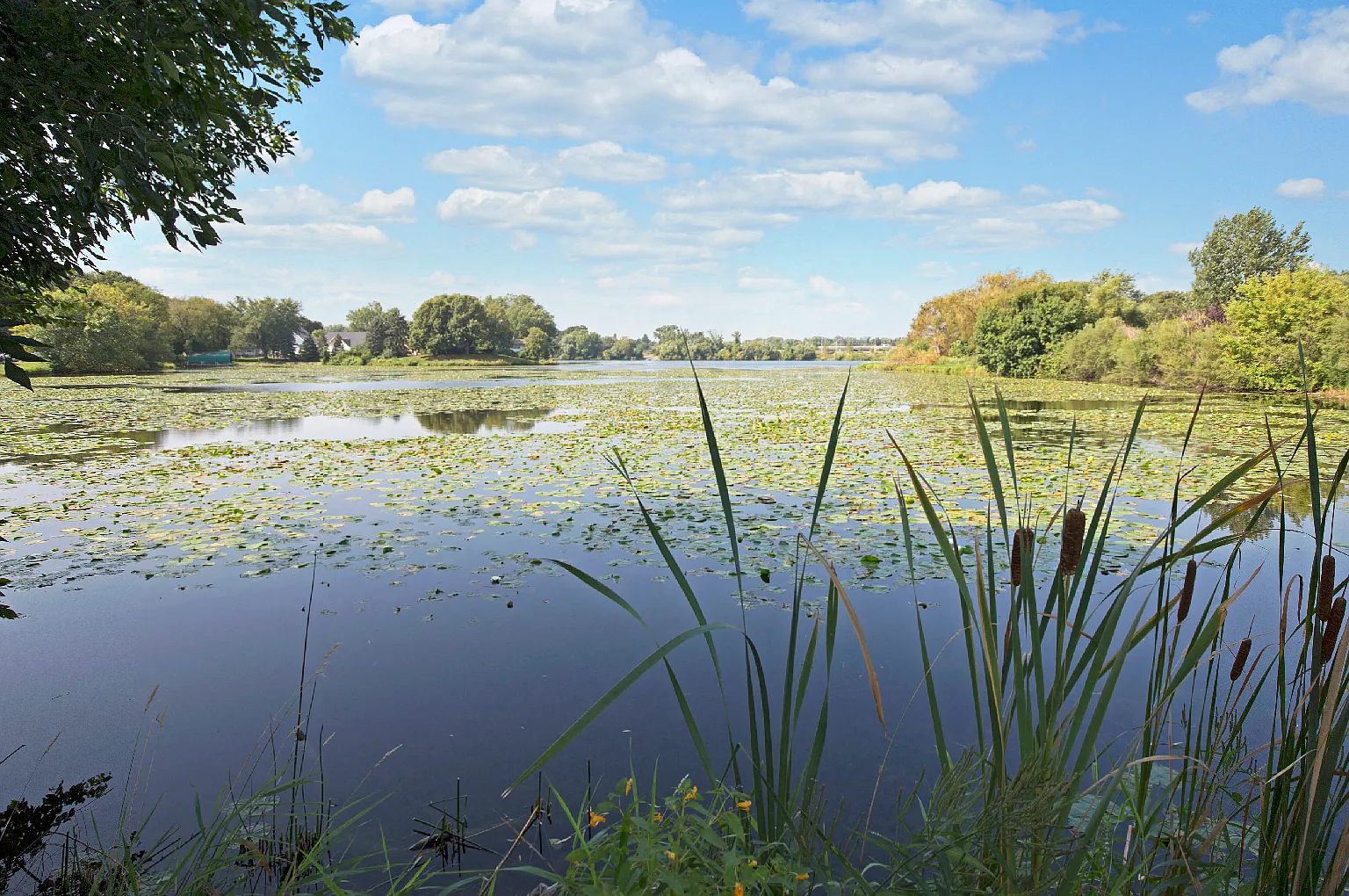 Beach South at the Lake — Photo 1
