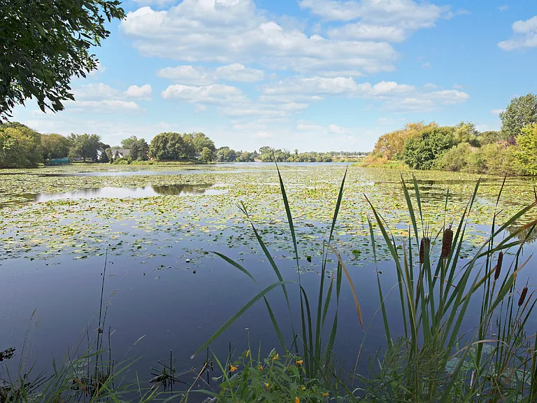 Beach South at the Lake — Photo 1