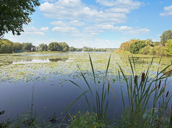 Beach South at the Lake