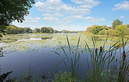 Beach South at the Lake Photo 1