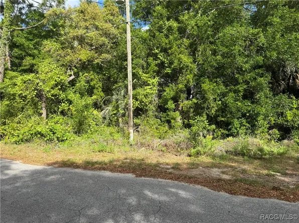 6585 W Gannet Pl, Crystal River, FL 34429