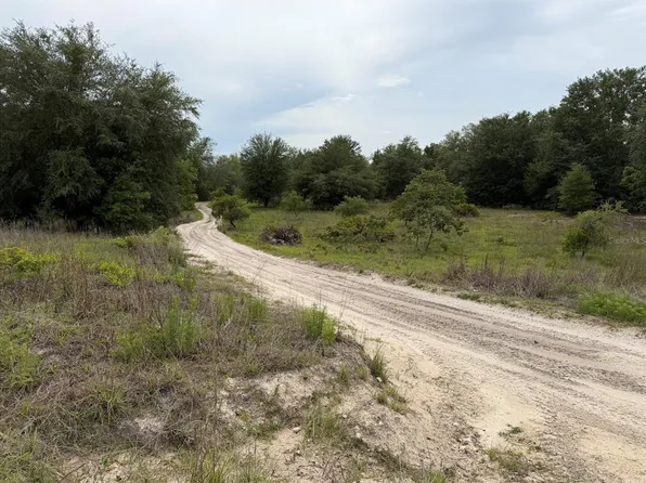 SE 53rd Ct Lot 39, Trenton, FL 32693