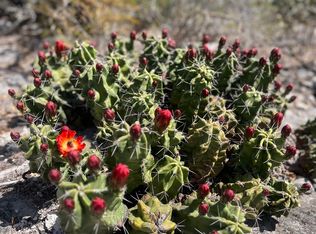 LOT 41-L & 42-L New Leona Ranch LOT 41&42, Brackettville, TX 78832