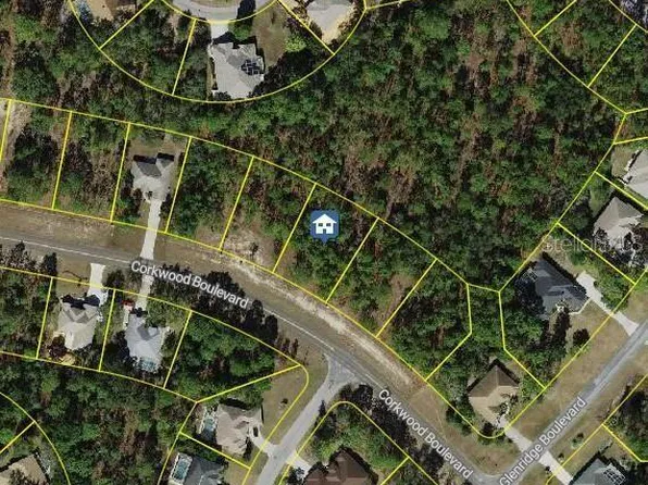 62 Corkwood Blvd, Homosassa, FL 34446