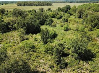 6821 Dormany Loop, Plant City, FL 33565