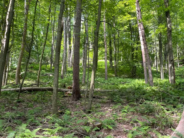 Orchard St, Clearfield, PA 16830