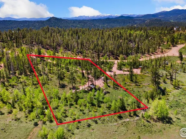 5481 N County Road 73C, Red Feather Lakes, CO 80545