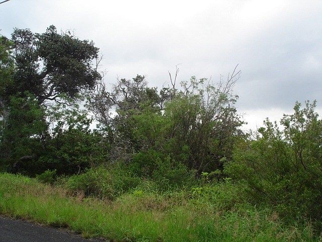 2nd image of Walaka Dr Lot 2