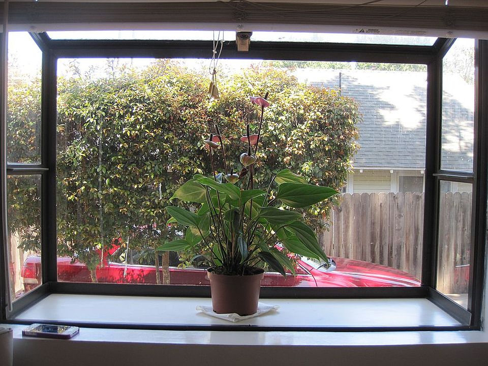 Unit A kitchen bay window