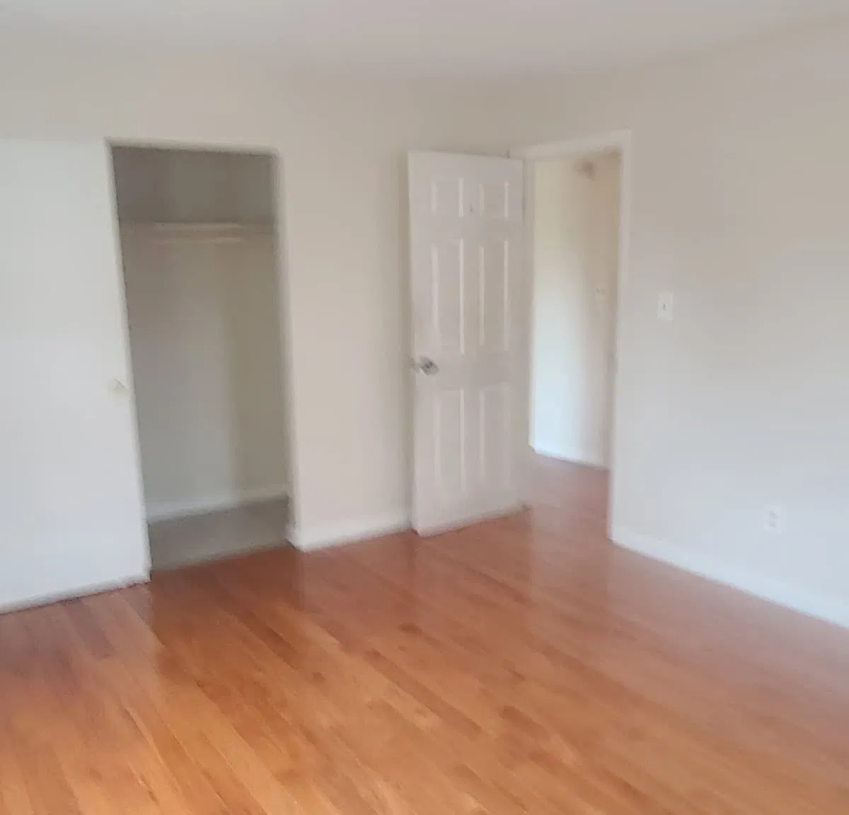 2 bed, 915 sqft, $2,075 — Photo 2