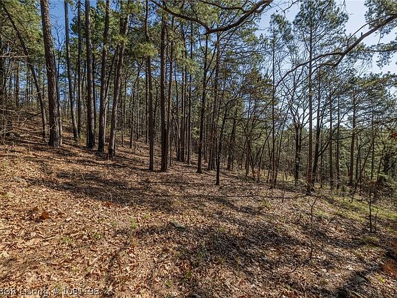 5th image of 1 Hamilton Hill Rd