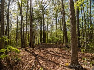 1156 Bear River Lodge Trl #61, Marshall, NC 28753