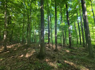 0 S Nine Mile Rd, Falmouth, MI 49632