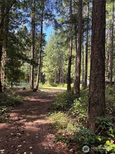 0 XXX Mountain Road, Waldron, WA, 98297
