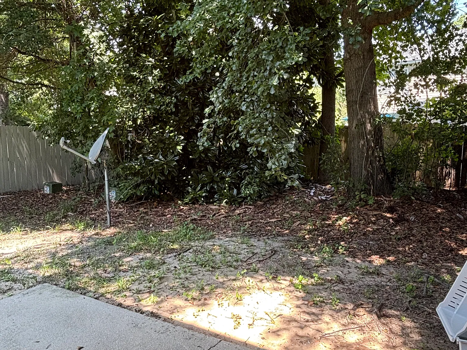 2 bed, 2.5 bath, 1008 sqft, $1,250 — Photo 3