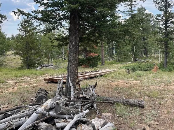 247 Sutiki Drive, Red Feather Lakes, CO 80545