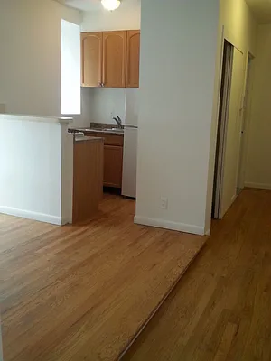 Rented by High Line NYC Realty Group | media 4