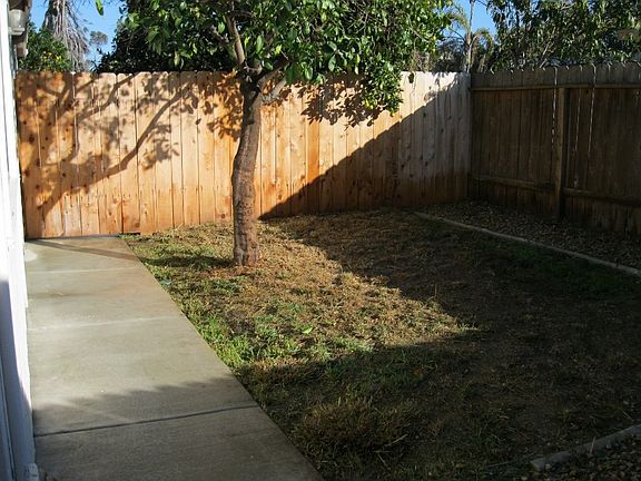 back yard area