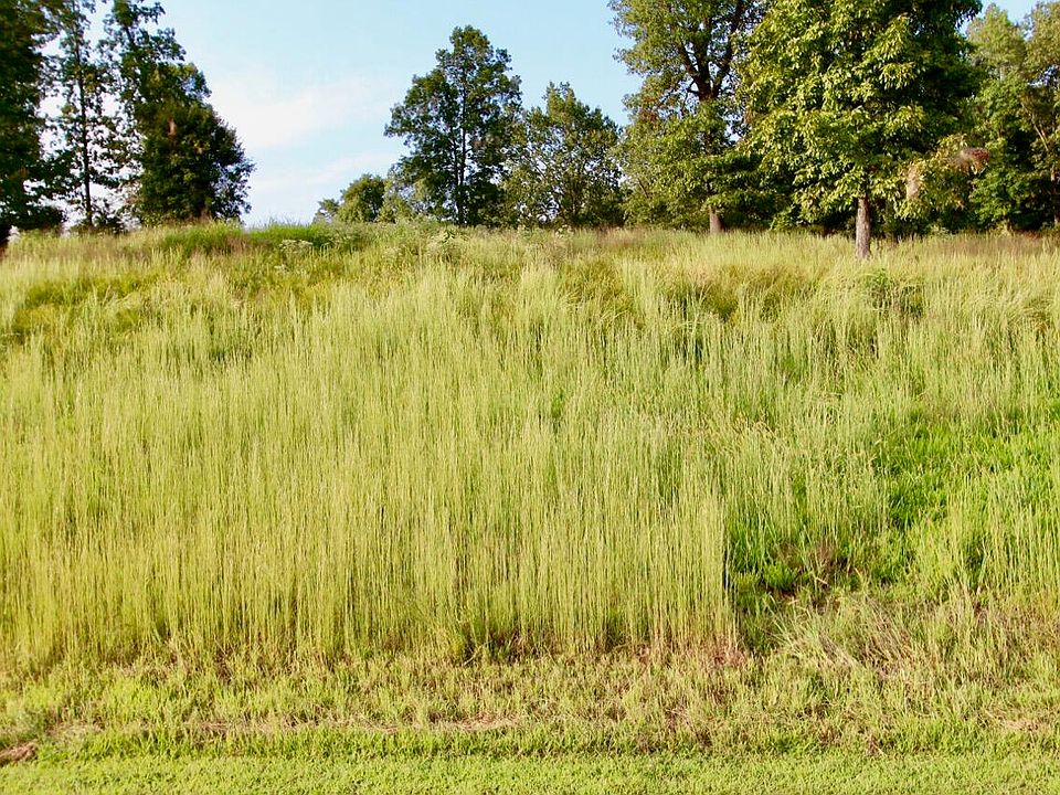 2nd image of LOT 85 Kelsey Joe Ln