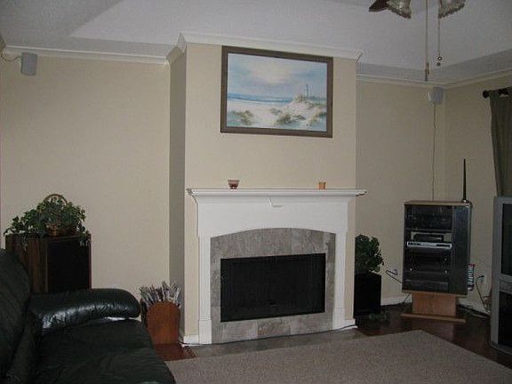 Living Room fireplace