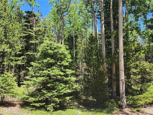 3208 Zipf Lane, Fort Garland, CO 81133