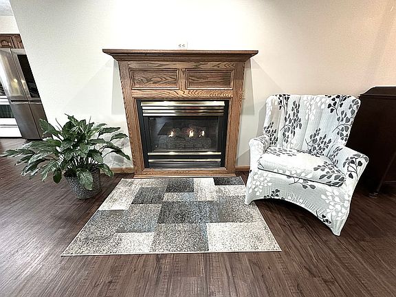 Gas fireplace
