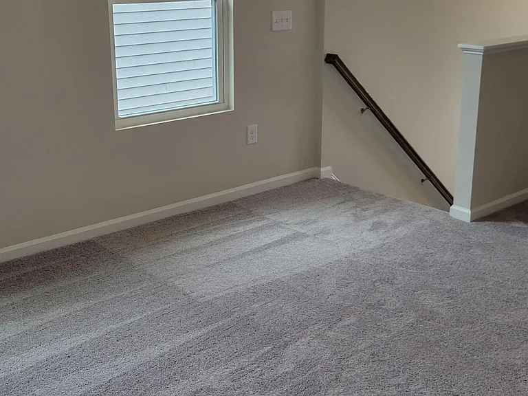 111 Sweet Olive St — Photo 12