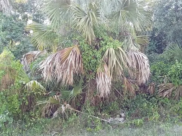 Blueberry Rd #13, North Pt, FL 34288