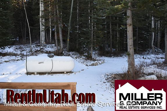 3rd image of 11203 E Dunyon Dr