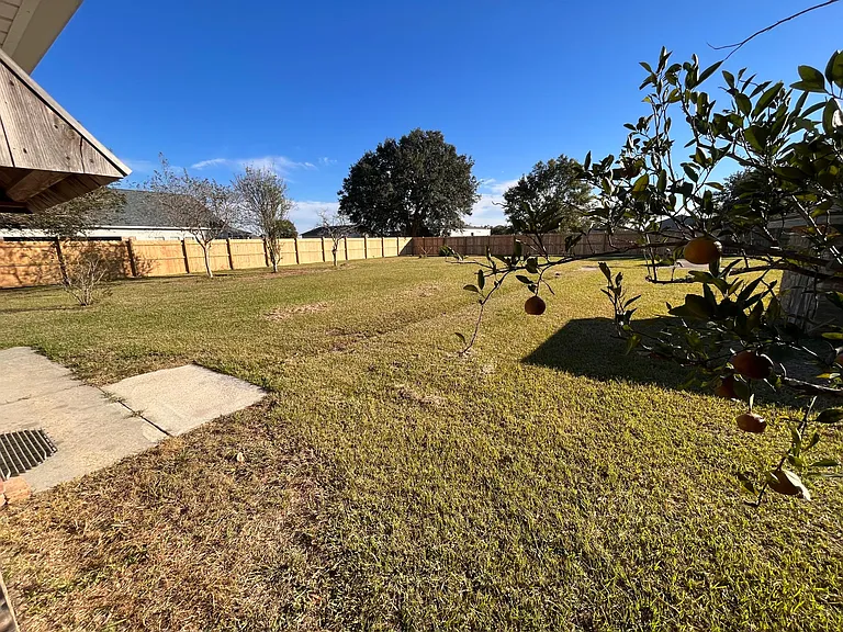 Back yard